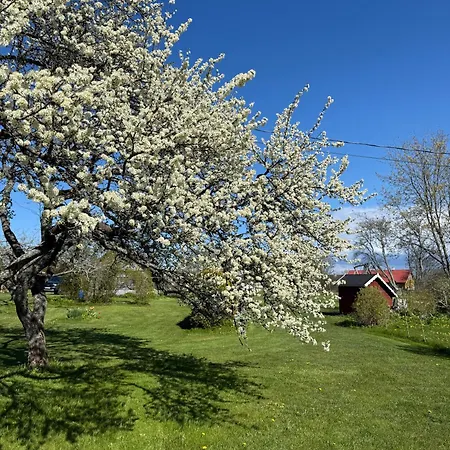 Kaemping Saunamaja Numbritoad Semesterbostad *