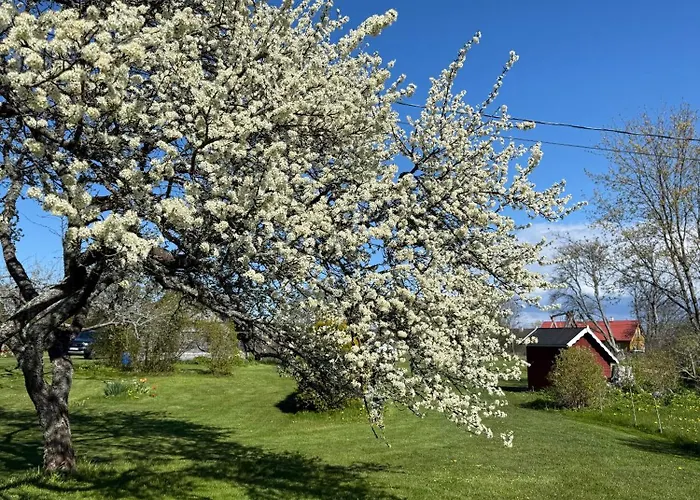 Kaemping Saunamaja Numbritoad Holiday home *